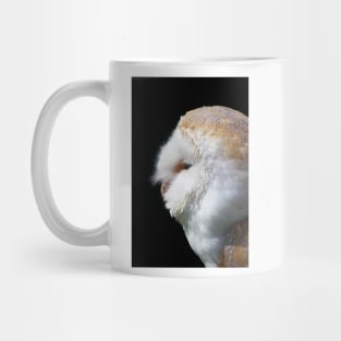 Barn Owl Mug